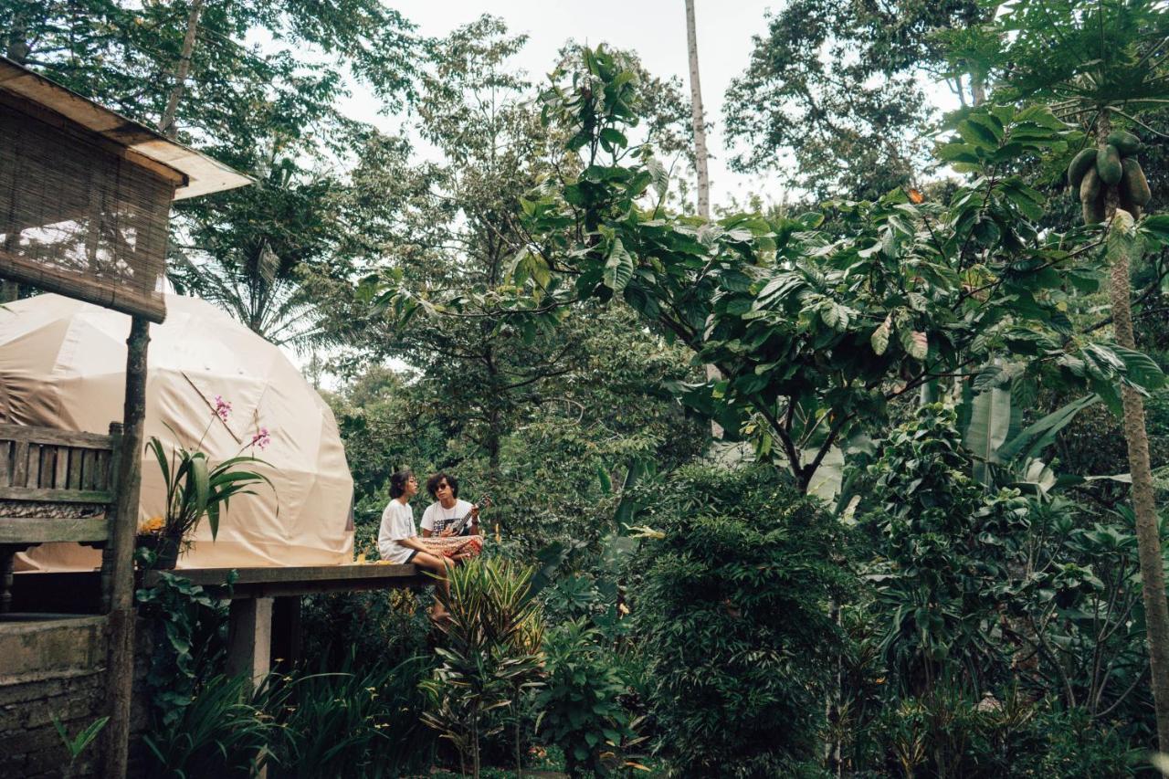 Selemadeg Bali Jungle Camping By Amerta Experience מראה חיצוני תמונה