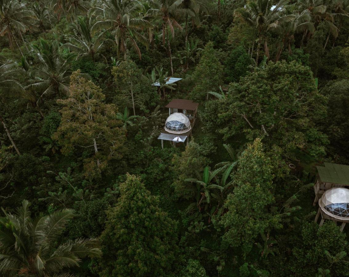 Selemadeg Bali Jungle Camping By Amerta Experience מראה חיצוני תמונה