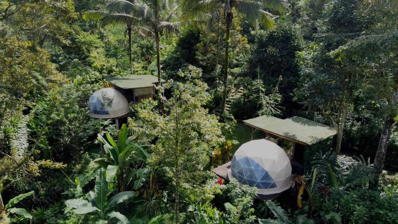 Selemadeg Bali Jungle Camping By Amerta Experience מראה חיצוני תמונה
