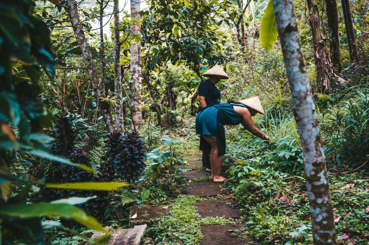 Selemadeg Bali Jungle Camping By Amerta Experience מראה חיצוני תמונה
