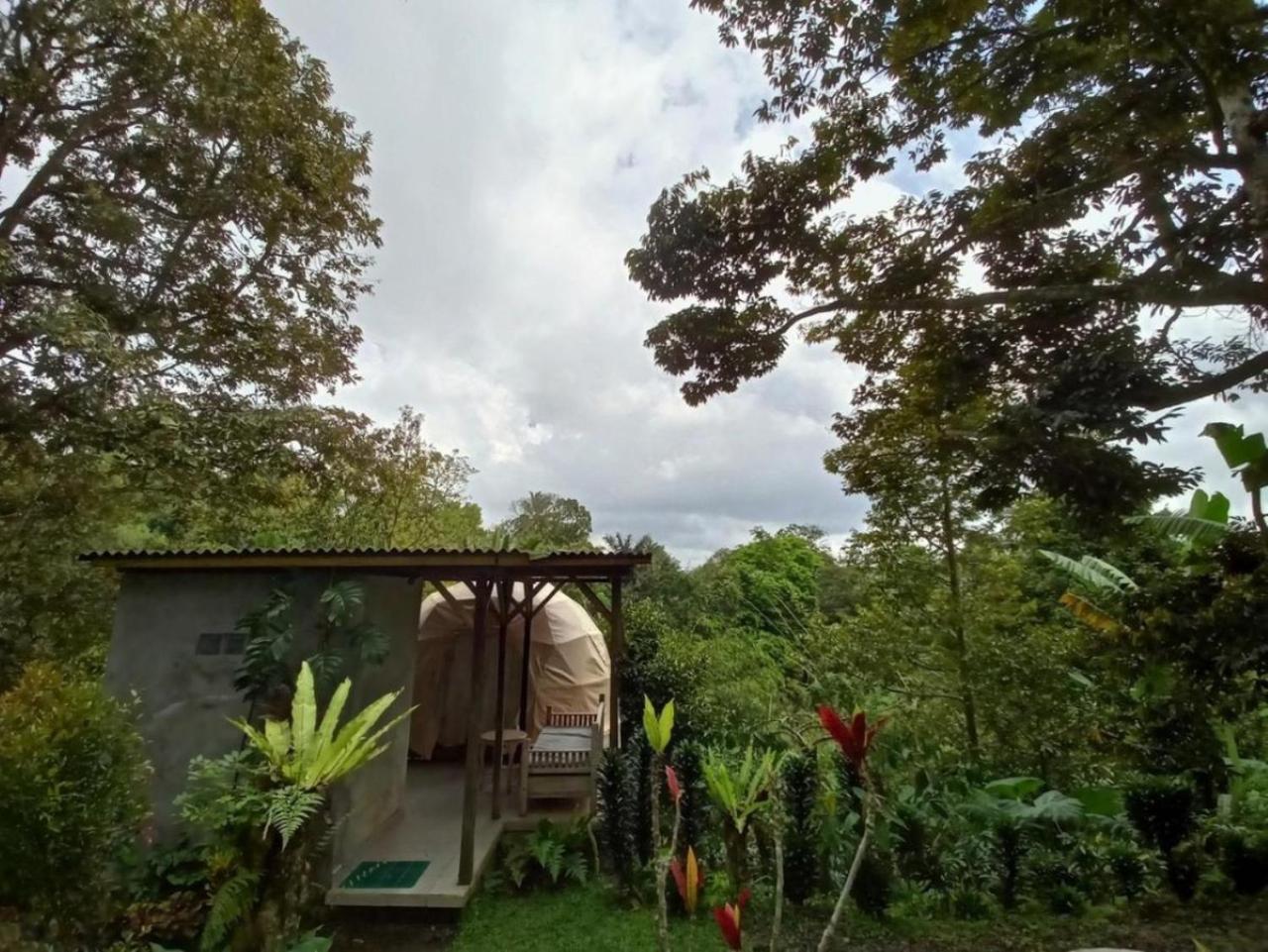 Selemadeg Bali Jungle Camping By Amerta Experience מראה חיצוני תמונה