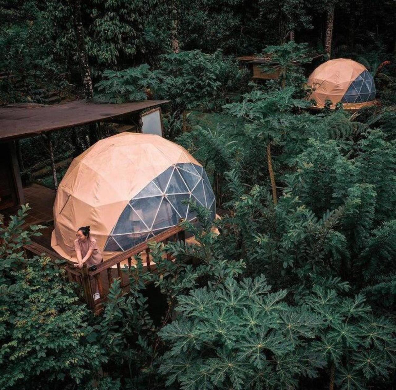 Selemadeg Bali Jungle Camping By Amerta Experience מראה חיצוני תמונה